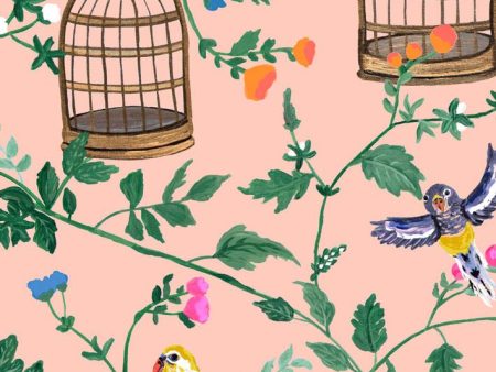 Ann s Garden  Wallpaper by Carly Beck - Salmon Online Hot Sale