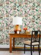 Ann s Garden  Wallpaper by Carly Beck - Peach Online now