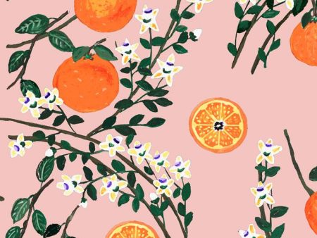 Arance Dolci  Wallpaper by Carly Beck - Pink Online