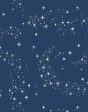 Stardust  Wallpaper by Barbie™ - Navy Online Hot Sale