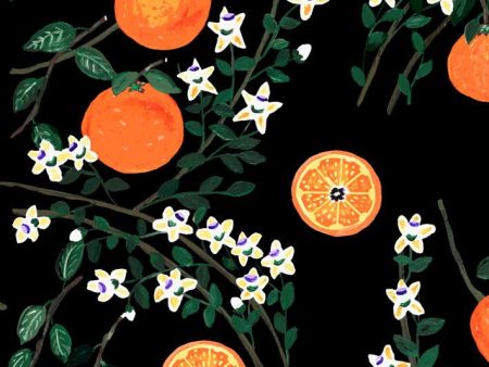 Arance Dolci  Wallpaper by Carly Beck - Black Online