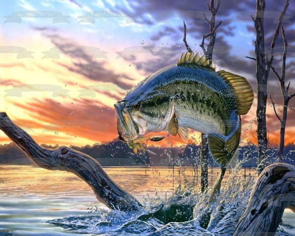 Bass Fishing Fish Out of Water Sunset Edible Cake Topper Image ABPID04589 Cheap